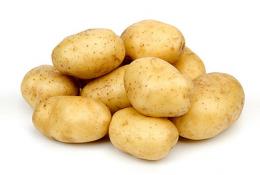Сорта картофеля. Картофель Адретта